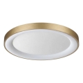 Ideal Lux - LED plafonsko svetlo PLANET LED/29W/230V CRI 90, prečnik 60 cm, mesing