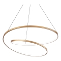 Ideal Lux - LED prigušiva luster na sajli OZ LED/48W/230V pr. 60 cm CRI 90 zlatna
