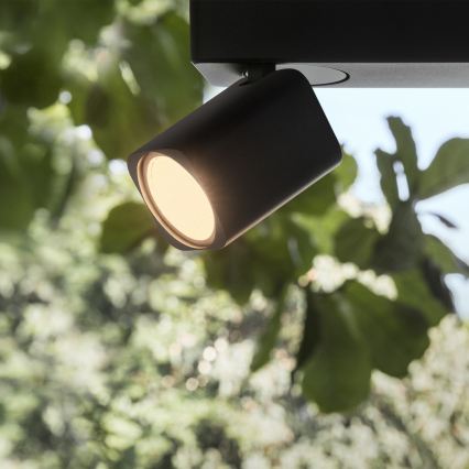 Ideal Lux - LED reflektorsko svetlo RUDY 4xGU10/7W/230V CRI 90 crna