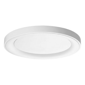 Ideal Lux - LED stropno svetlo PLANET LED/29W/230V CRI 90 prečnik 60 cm belo