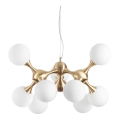 Ideal Lux - Luster na sajli NODI 9xE14/28W/230V prečnik 80 cm mesing/bela