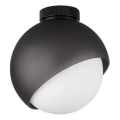 Ideal Lux - Plafonska svetiljka BLOOM 1xE27/42W/230V prečnik 22 cm crna