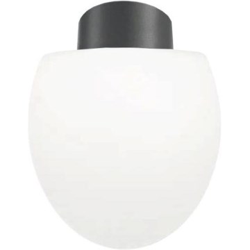 Ideal Lux - Spoljašnja plafonska lampa CLIO 1xE27/42W/230V IP44 antracit