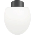 Ideal Lux - Spoljašnja plafonska svetiljka CLIO 1xE27/42W/230V IP44 antracit