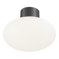 Ideal Lux - Spoljašnja plafonska svetiljka CLIO 1xE27/42W/230V IP44 antracit
