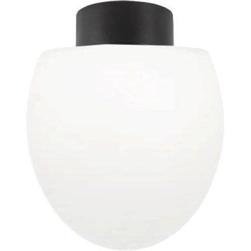 Ideal Lux - Spoljašnje plafonsko svetlo CLIO 1xE27/42W/230V IP44 crna