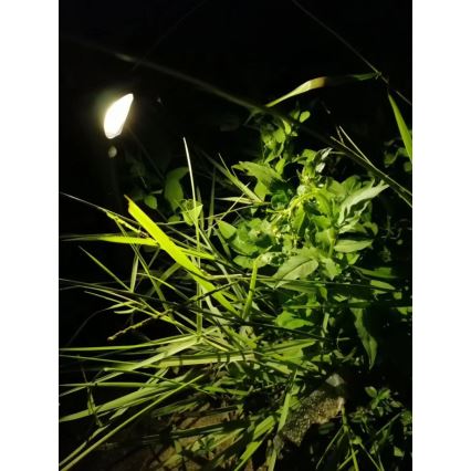 LED solarna lampa sa senzorom LED/1W/3,7V 6000K IP65 1500 mAh