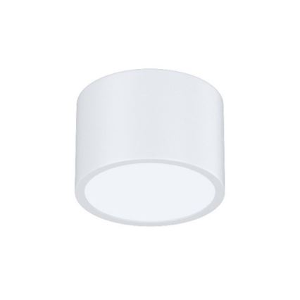 Immax Neo 07024L-15BD - Set 2x LED prigušiva stropna svetiljka RONDATE, bela, 2xLED/12W/230V + Tuya daljinski upravljač