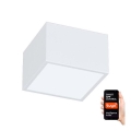 Immax NEO 07072L-15 - LED prigušiva svetiljka CANTO LED/12W/230V bela Tuya