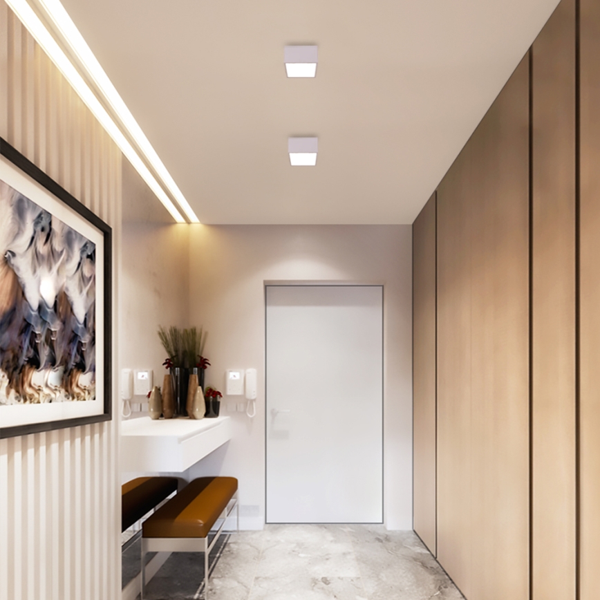 Immax NEO 07072L-15 - LED prigušiva svetiljka CANTO LED/12W/230V bela Tuya