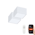 Immax Neo 07072L-15BD - Set 2x LED prigušiva plafonska svetiljka CANTO 2xLED/12W/230V + daljinski upravljač Tuya