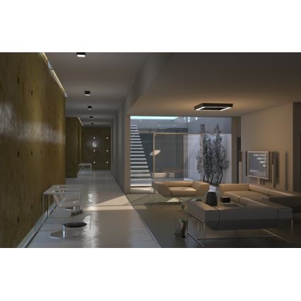 Immax Neo 07074L-15BD - Set 2x LED prigušiva plafonska svetla CANTO 2xLED/12W/230V + Tuya daljinski upravljač