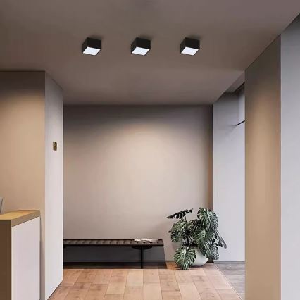 Immax Neo 07074L-15BD - Set 2x LED prigušiva plafonska svetla CANTO 2xLED/12W/230V + Tuya daljinski upravljač