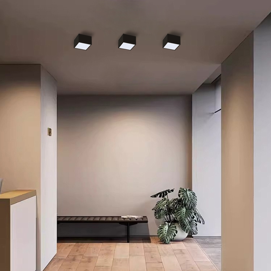 Immax Neo 07074L-15BD - Set 2x LED prigušiva plafonska svetla CANTO 2xLED/12W/230V + Tuya daljinski upravljač