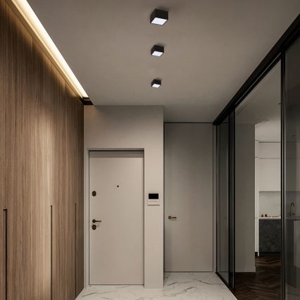 Immax Neo 07074L-15BD - Set 2x LED prigušiva plafonska svetla CANTO 2xLED/12W/230V + Tuya daljinski upravljač