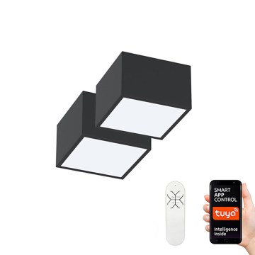 Immax Neo 07074L-15BD - Set 2x LED prigušiva plafonska svetla CANTO 2xLED/12W/230V + Tuya daljinski upravljač