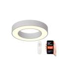 Immax NEO 07095L - LED prigušiva stropna svetiljka PASTEL LED/52W/230V 60 cm Tuya + daljinsko upravljanje