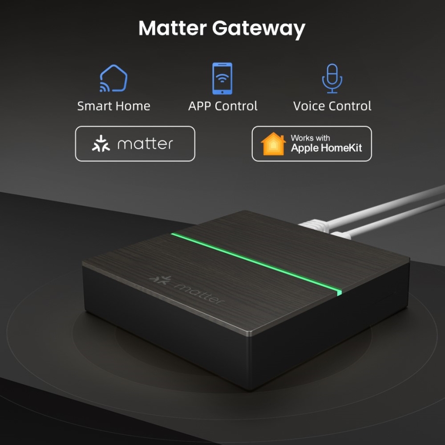 Immax NEO 07117-5 - Pametan MATTER BRIDGE Zigbee 3.0 230V Tuya Wi-Fi