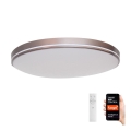 Immax NEO 07150-C51 - LED prigušiva stropno svetlo NEO LITE AREAS LED/48W/230V Tuya Wi-Fi braon + daljinski upravljač