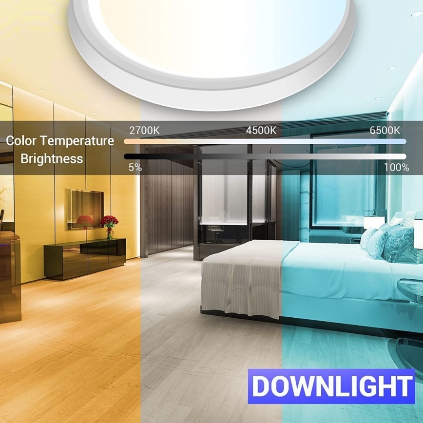 Immax NEO 07164-40 - LED RGB+CCT prigušiva plafonska svetiljka NEO LITE TUDO LED/50W/230V Wi-Fi Tuya + daljinski upravljač