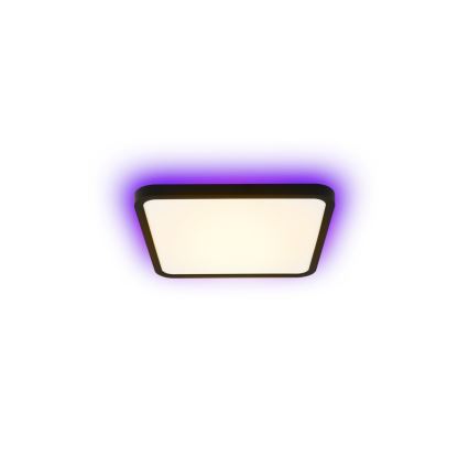 Immax NEO 07167-B40 - LED RGB+CCT prigušiva plafonsko svetlo NEO LITE TUDO LED/50W/230V Wi-Fi Tuya crna + daljinski upravljač