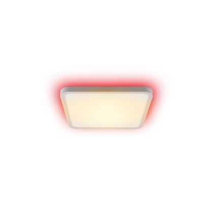 Immax NEO 07168-W40 - LED RGB+CCT prigušiva stropna svetiljka NEO LITE TUDO LED/50W/230V Wi-Fi Tuya bela + daljinski upravljač