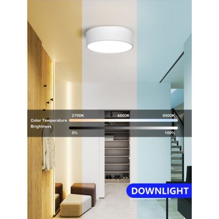 Immax NEO 07204L - LED prigušiva plafonska lampa RONDATE LED/18W/230V 3000-6000K bela Tuya + daljinski upravljač
