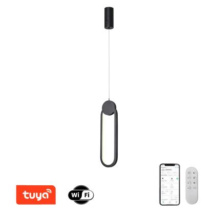 Immax NEO 07232L - LED prigušiva luster na sajli NEO LITE OVALE LED/22W/230V 2700-6500K Wi-Fi Tuya + daljinski upravljač