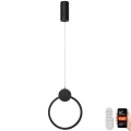 Immax NEO 07233L - LED prigušiva luster na sajli NEO LITE OVALE LED/18W/230V Wi-Fi Tuya 2700-6500K + daljinsko upravljanje
