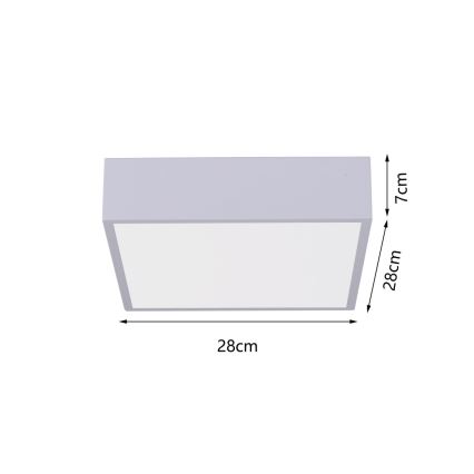 Immax NEO 07238L - LED plafonsko svetlo CANTO, prigušiva, LED/22W/230V, belo, Tuya + daljinski upravljač