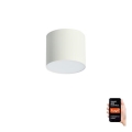 Immax NEO 07241L - LED prigušiva plafonska lampa RONDATE LED/18W/230V 11,5cm Wi-Fi Tuya