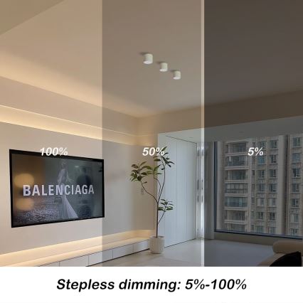 Immax NEO 07241L - LED prigušiva stropna svetiljka RONDATE LED/18W/230V 11,5cm Wi-Fi Tuya