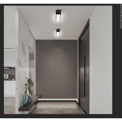 Immax NEO 07254L - LED prigušiva plafonska svetiljka NEO LITE LUNGO LED/20W/230V 3000-6000K Wi-Fi Tuya crna + daljinski upravljač