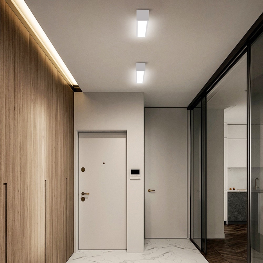 Immax NEO 07257L - LED prigušiva stropna svetiljka NEO LITE LUNGO LED/20W/230V 3000-6000K Wi-Fi Tuya bela + daljinski upravljač