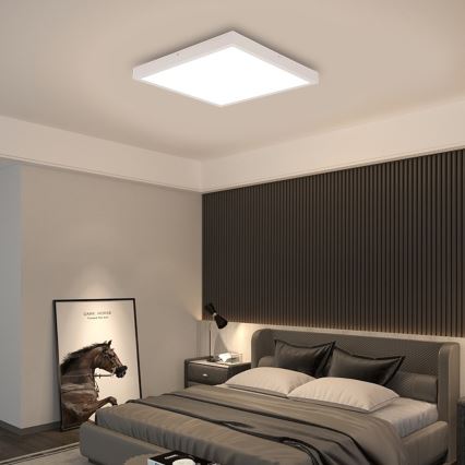 Immax NEO 07277L - LED prigušiva plafonska svetiljka za kupatilo NEO LITE FRAME LED/50W/230V IP44 Wi-Fi Tuya +daljinski upravljač bela