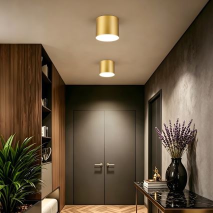 Immax NEO 07318L - LED prigušiva plafonjera RONDATE LED/32W/230V prečnik 16,5 cm Wi-Fi Tuya zlatna