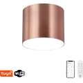 Immax NEO 07319L - LED prigušiva plafonska svetiljka RONDATE LED/18W/230V pr. 11,5 cm Wi-Fi Tuya ružičasto-zlatna