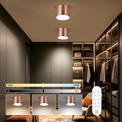 Immax NEO 07320L - LED prigušiva plafonska svetiljka RONDATE LED/32W/230V prečnik 16,5 cm Wi-Fi Tuya roze-zlatna