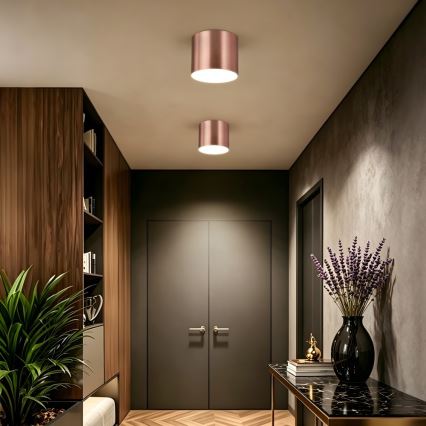 Immax NEO 07320L - LED prigušiva plafonska svetiljka RONDATE LED/32W/230V prečnik 16,5 cm Wi-Fi Tuya roze-zlatna