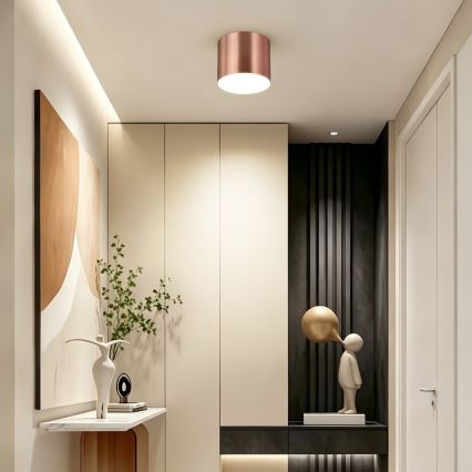 Immax NEO 07320L - LED prigušiva plafonska svetiljka RONDATE LED/32W/230V prečnik 16,5 cm Wi-Fi Tuya roze-zlatna