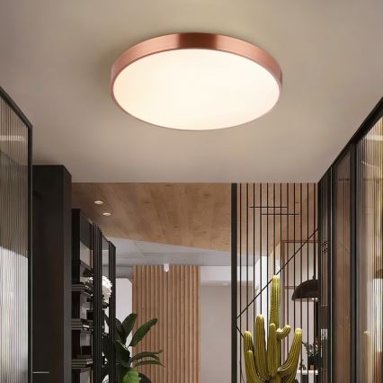 Immax NEO 07322L - LED prigušiva stropna svetiljka NEO LITE SEMPLICI LED/60W/230V Ø 60 cm bakrena + daljinski upravljač