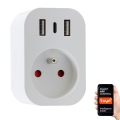 Immax NEO 07772L - Pametna razvodna utičnica 16A/230V + 2xUSB+1xUSB-C Wi-Fi Tuya