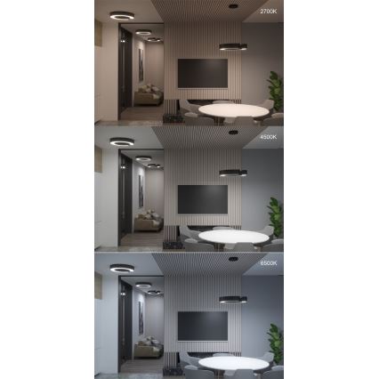 Immax NEO 7134 - LED SMART prigušiva lampa na sajli u obliku slova C LED/43W/230V + daljinsko upravljanje 60 cm Tuya ZigBee