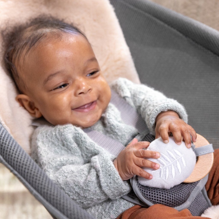 Ingenuity - Dečija vibrirajuća ležaljka sa melodijom EVERY SEASON WESLEY 3xC siva