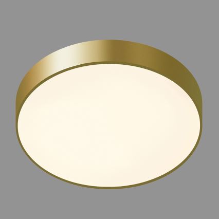 ITALUX - LED plafonsko svetlo ORBITAL LED/30W/230V 3000K zlatno