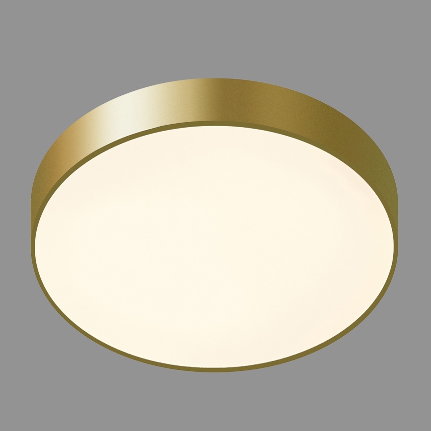 ITALUX - LED plafonsko svetlo ORBITAL LED/30W/230V 3000K zlatno