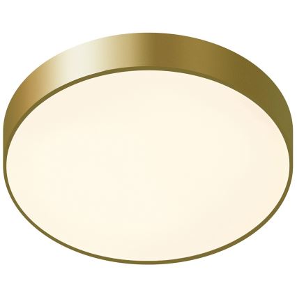 ITALUX - LED plafonsko svetlo ORBITAL LED/30W/230V 3000K zlatno