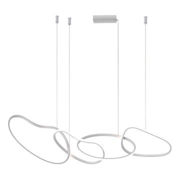 ITALUX - LED luster na lanku FONTE LED/60W/230V 3000/4000/6000K bela