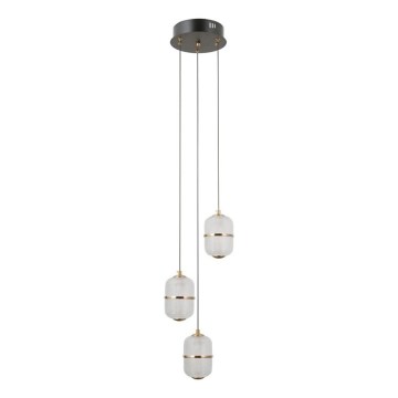 ITALUX - LED luster na sajli ALANI 3xLED/5W/230V 3000K crna/zlatna