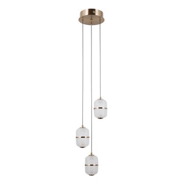 ITALUX - LED luster na sajli ALANI 3xLED/5W/230V 3000K zlatna